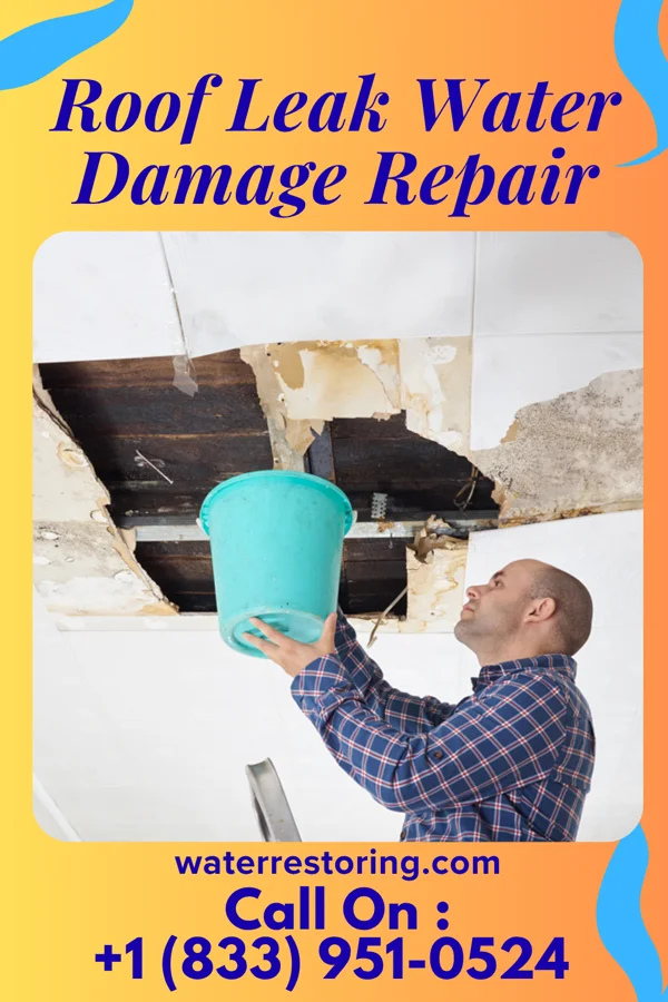 Roof Leak Water Damage Repair in Mead, NE