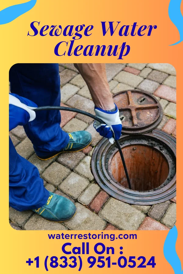 Sewage Water Cleanup in Mead, NE